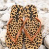 Ipanema γυναικείες leopar σαγιονάρες δίχαλο 004.780-23354-P ΛΕΟΠΑΡ